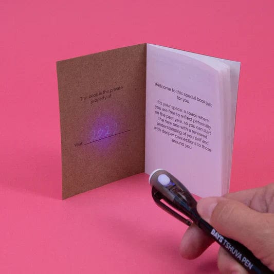 Days United - Rosh Hashanah in a Box Kit - ModernTribe