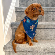 Pet Hanukkah Space Bandana by Midrash Manicures