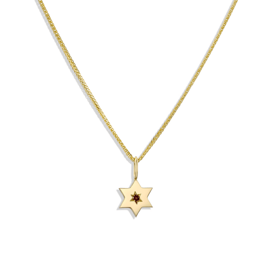 Gaza Envelope Shield Star of David Necklace with Ruby - 14k Yellow, Rose or White Gold
