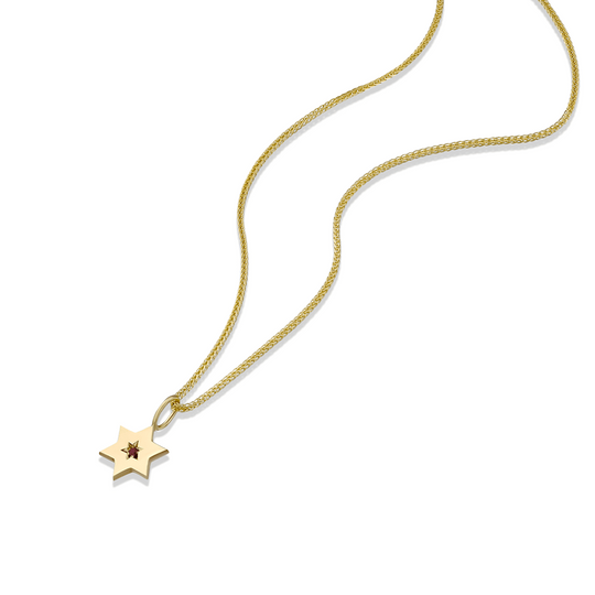 Gaza Envelope Shield Star of David Necklace with a Ruby - 14k Yellow, Rose or White Gold