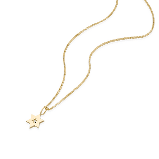 Gaza Envelope Shield Star of David Necklace with a Diamond - 14k Yellow, Rose or White Gold