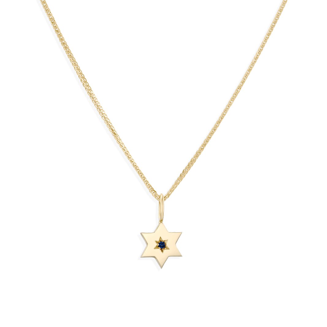 HOTCROWN - Gaza Envelope Shield Star of David Necklace with a Blue Sapphire - 14k Yellow, Rose or White Gold - ModernTribe