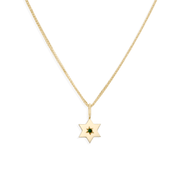 HOTCROWN - Gaza Envelope Shield Star of David Necklace with Emerald - 14k Yellow, Rose or White Gold - ModernTribe