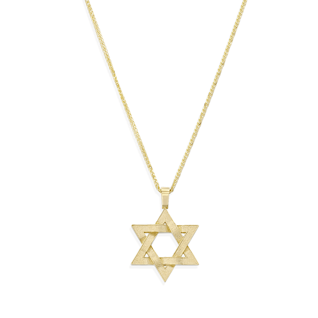HOTCROWN - Eliahu Star of David Necklace - 14k Yellow, Rose or White Gold - ModernTribe