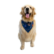 Pet Hanukkah Space Bandana by Midrash Manicures