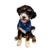 Pet Hanukkah Space Bandana by Midrash Manicures