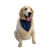Pet Hanukkah Space Bandana by Midrash Manicures