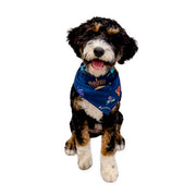 Pet Hanukkah Space Bandana by Midrash Manicures