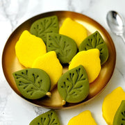 Marzipops Food Marzipan Sukkot Etrog and Leaf Collection