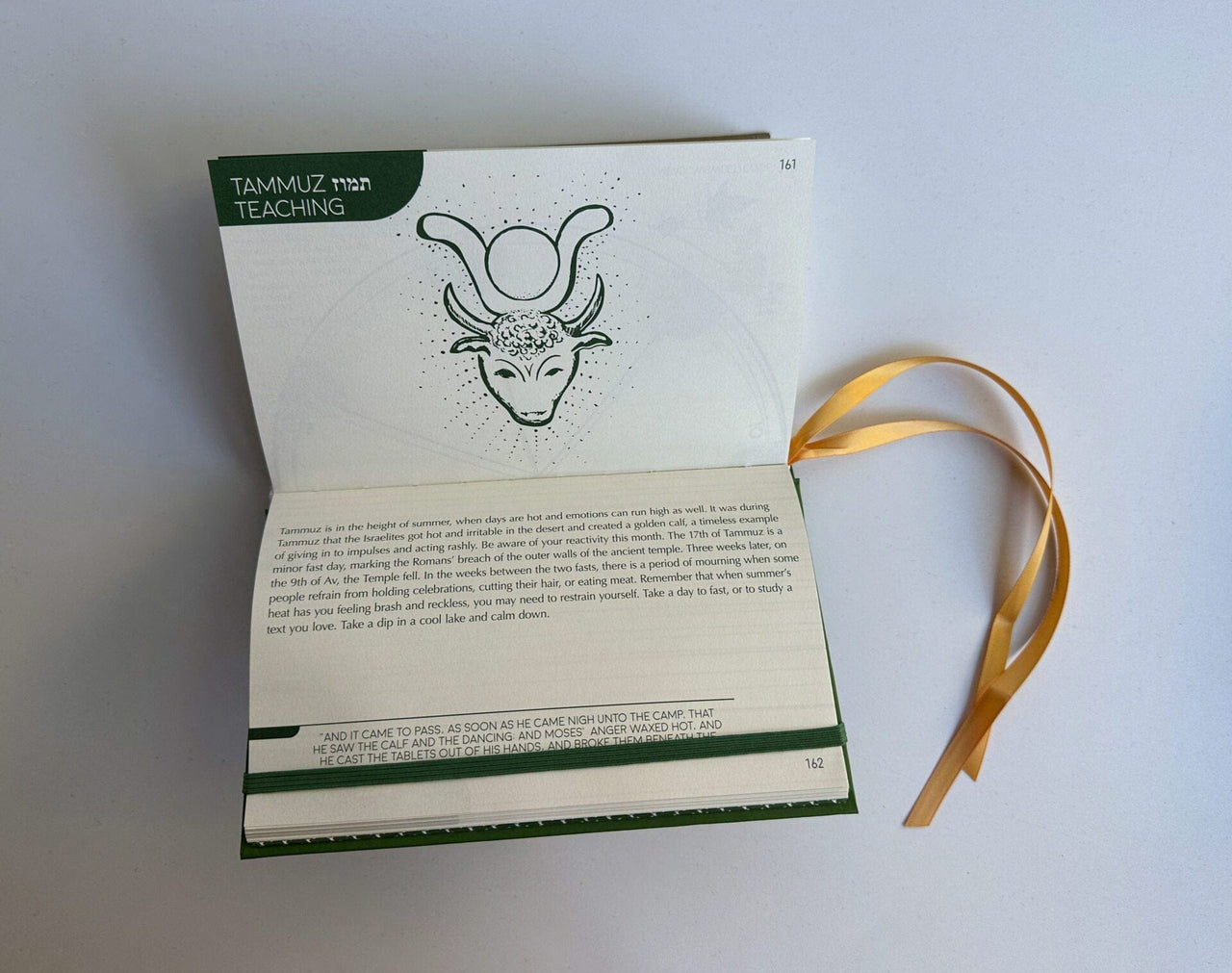 Gold Herring - The Jewish Planner 5786 (2025 - 2026) - ModernTribe