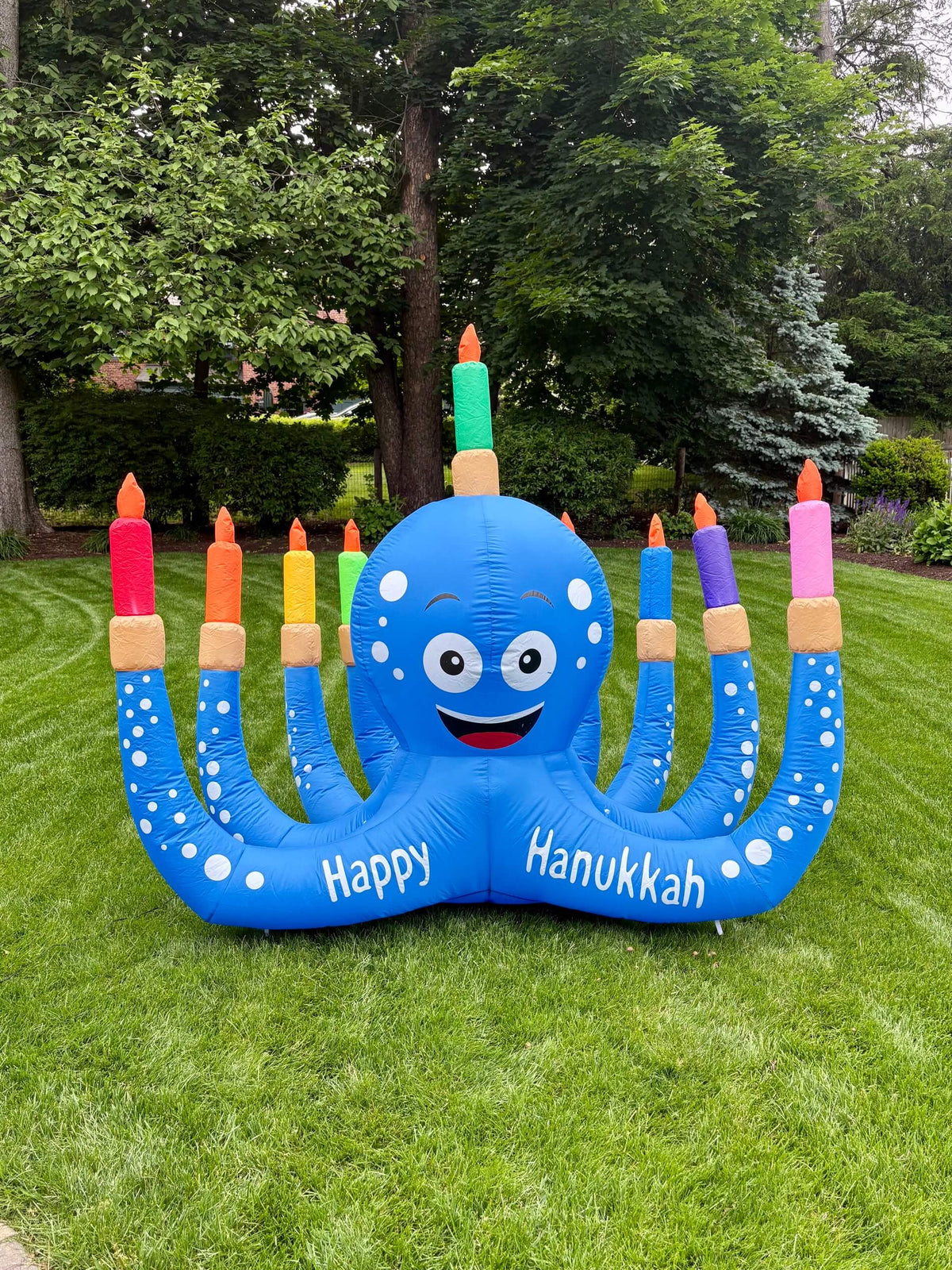 Amy Kritzer Becker Inflatables Hanukkah Octopus Inflatable