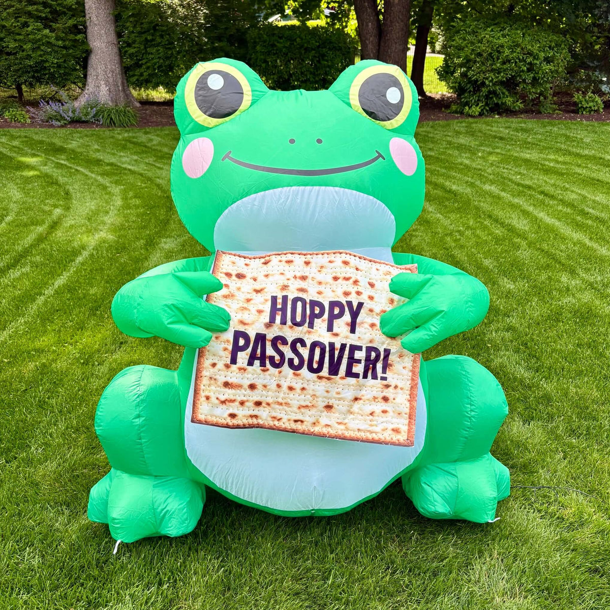 Amy Kritzer Becker Inflatables Passover Frog Inflatable