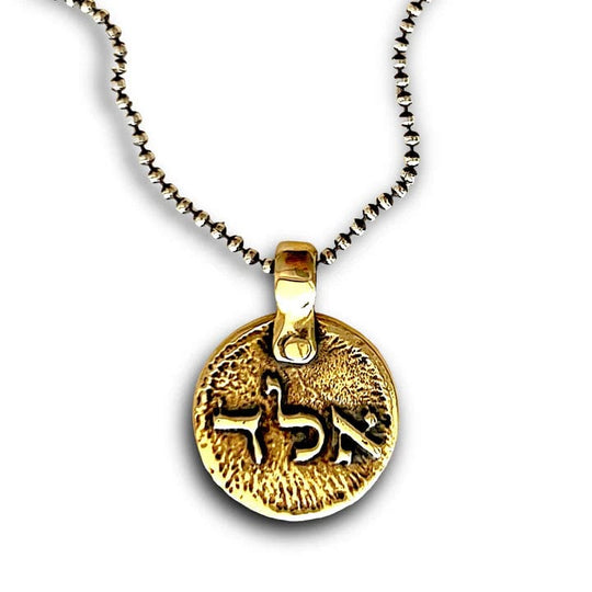 Shield From Evil Eye Kabbalah Necklace by Marla Studio - Sterling Silver or Bronze