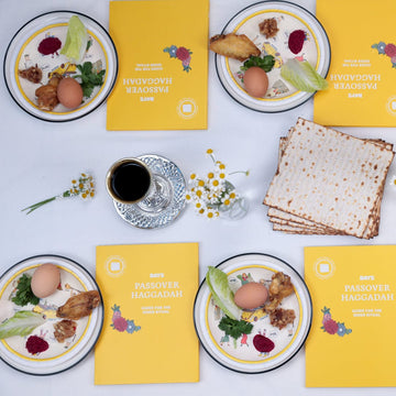 Days United Seder Plates DIY Passover Seder in a Box