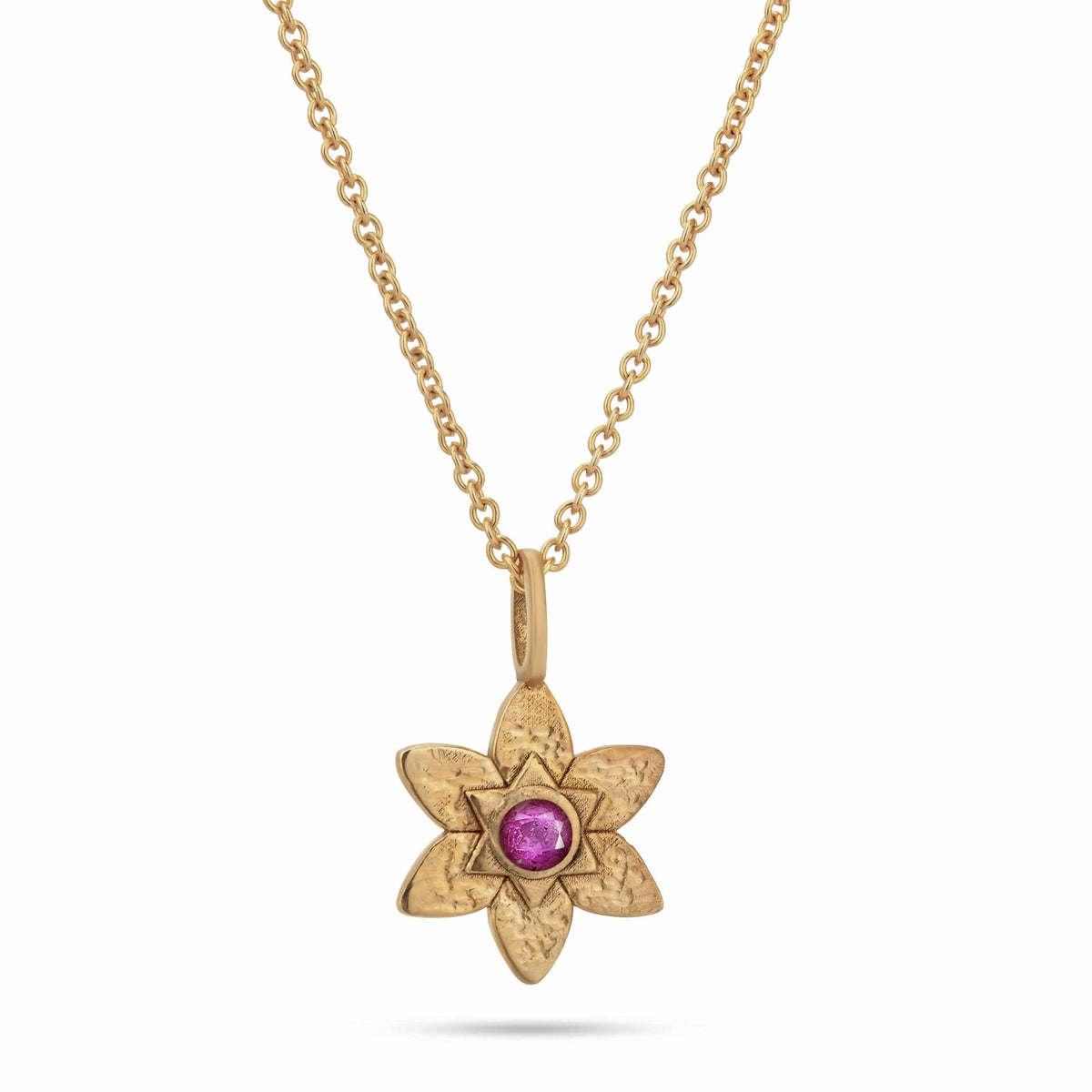 Petal Star of David necklace with pink sapphire in 14k gold by Sages & Souls