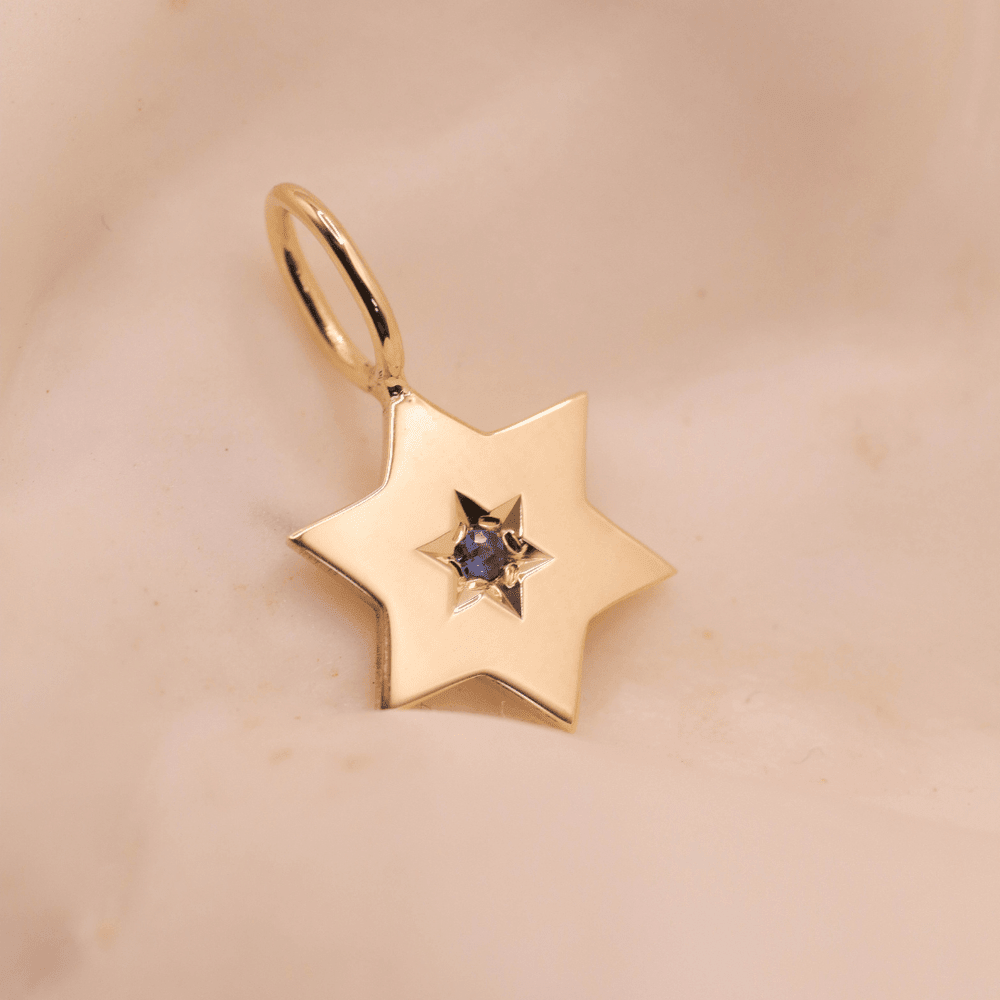 HOTCROWN - Gaza Envelope Shield Star of David Necklace with a Blue Sapphire - 14k Yellow, Rose or White Gold - ModernTribe