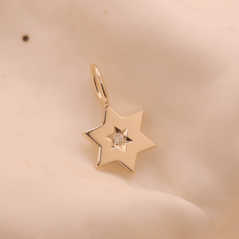 HOTCROWN - Gaza Envelope Shield Star of David Necklace with a Diamond - 14k Yellow, Rose or White Gold - ModernTribe
