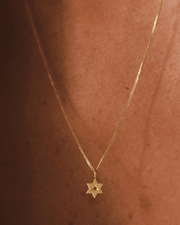 HOTCROWN - Gaza Envelope Shield Star of David Necklace with Ruby - 14k Yellow, Rose or White Gold - ModernTribe