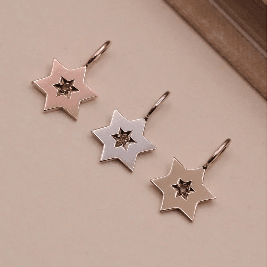HOTCROWN - Gaza Envelope Shield Star of David Necklace with a Ruby - 14k Yellow, Rose or White Gold - ModernTribe
