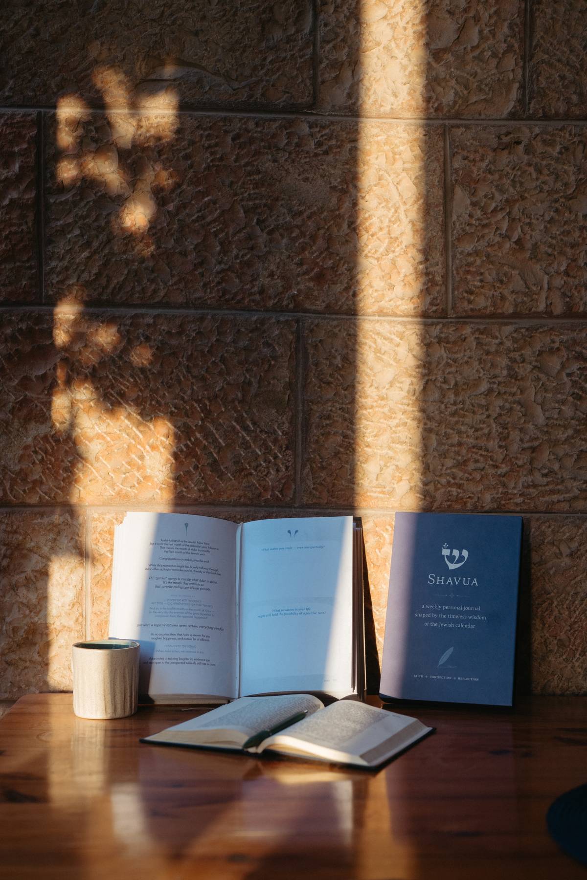 Sheva Books - SHAVUA: A Guided Weekly Jewish Journal - ModernTribe