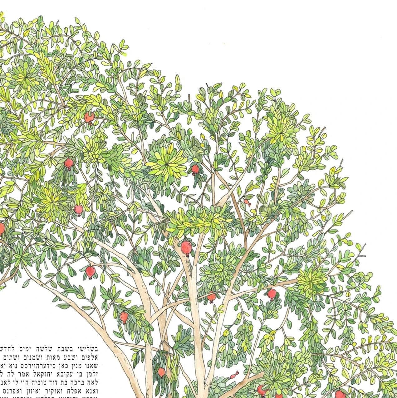 Jessica Tamar Deutsch - Pomegranate Grove Ketubah by Jessica Tamar Deutsch - ModernTribe