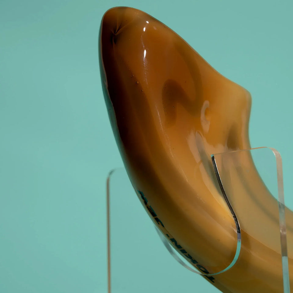 Tokin' Jew - Shofar Pipe - ModernTribe