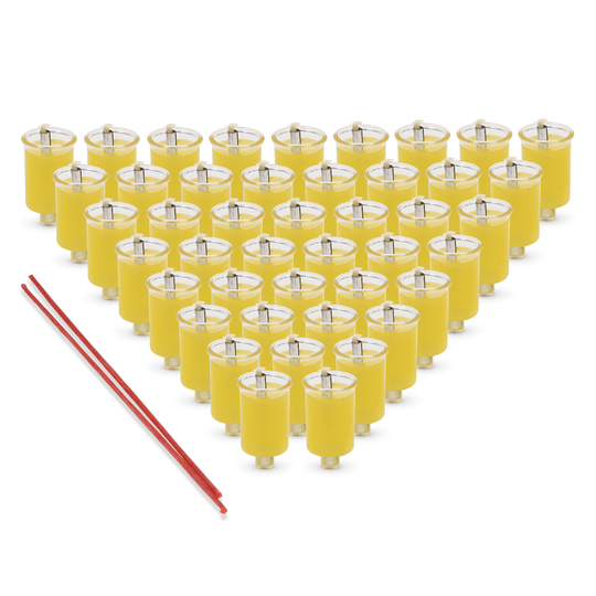 Pre-Filled Olive Oil Hanukkah Candles Set