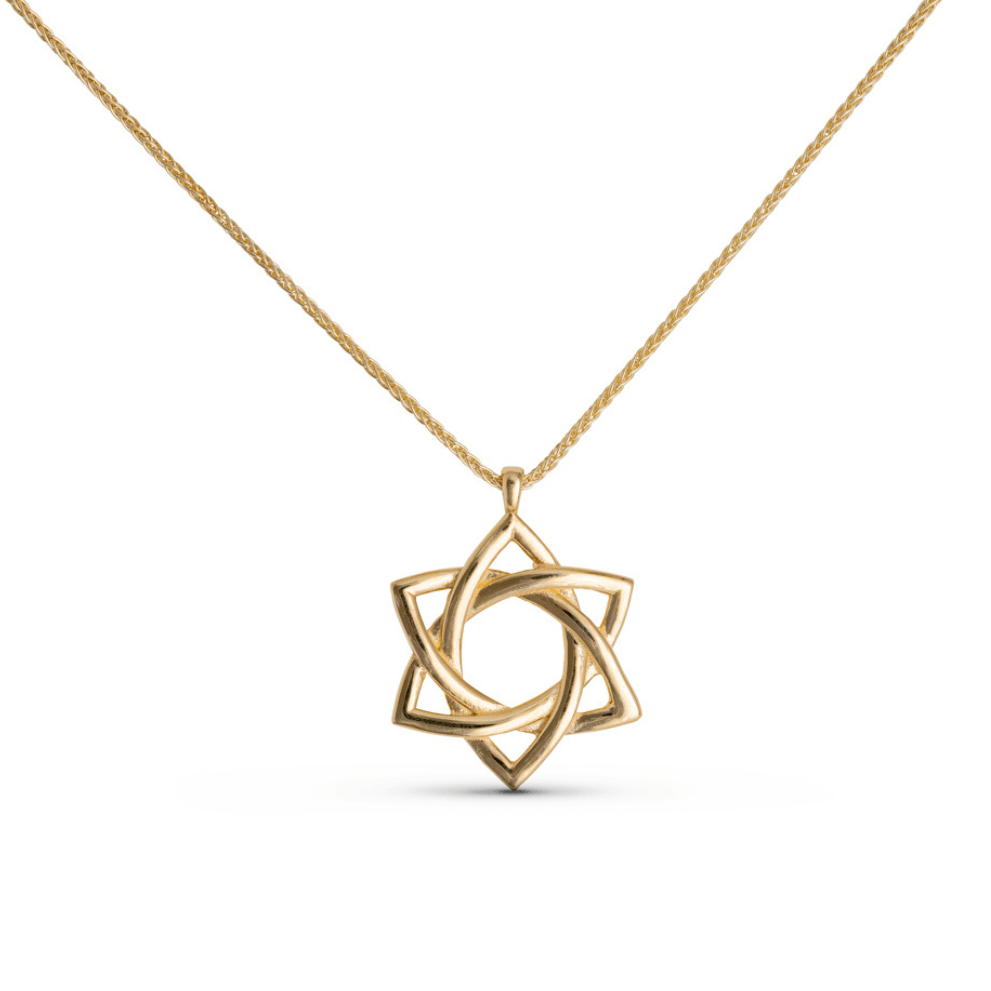 Israel Museum Necklaces Star of David Swirl Necklace by Israel Museum - 14k Gold
