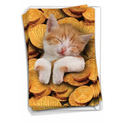 NobleWorks Cards Sleepy Cat in Gelt Cards, Pack of 12