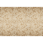 Altoona Store Placemats Matzah Printed Placemats - Set of 24