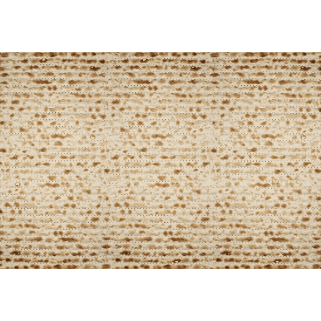 Altoona Store Placemats Matzah Printed Placemats - Set of 24