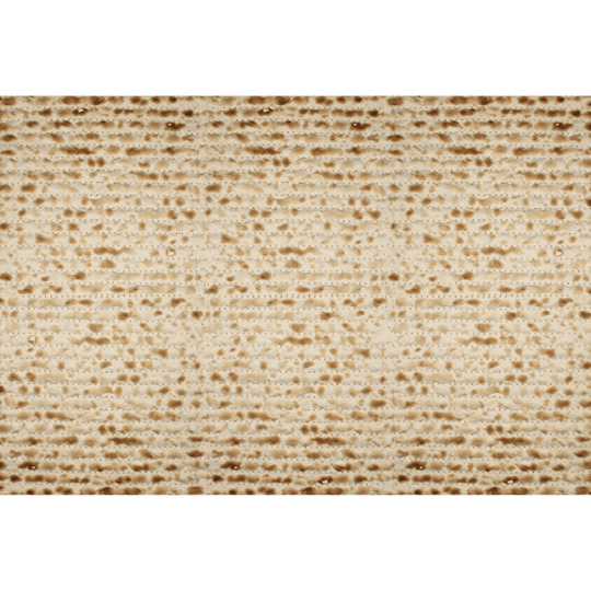 Matzah Printed Placemats - Set of 24