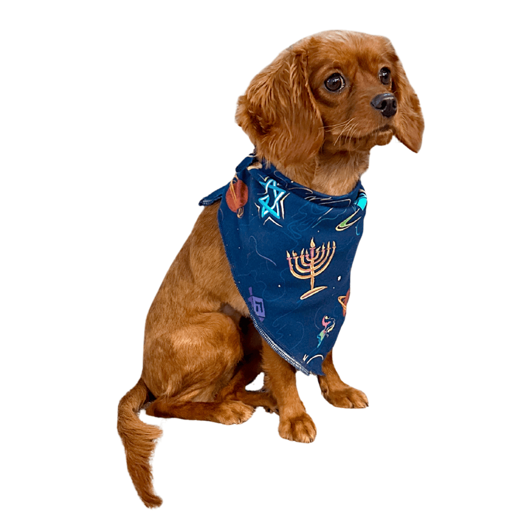 Pet Hanukkah Space Bandana by Midrash Manicures