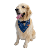 Pet Hanukkah Space Bandana by Midrash Manicures