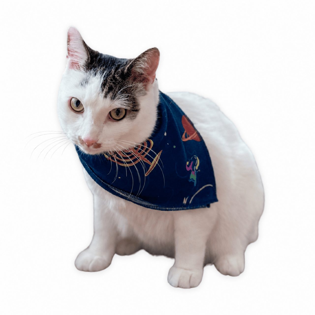 Pet Hanukkah Space Bandana by Midrash Manicures