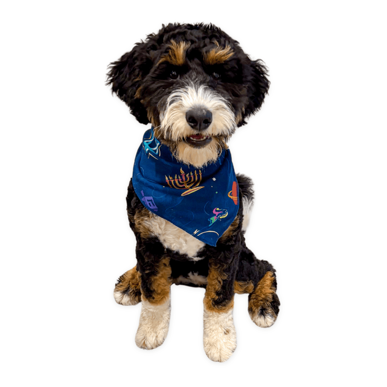 Pet Hanukkah Space Bandana by Midrash Manicures