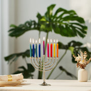 Rite Lite Hanukkah Candles Multicolored Beeswax Hanukkah Candles