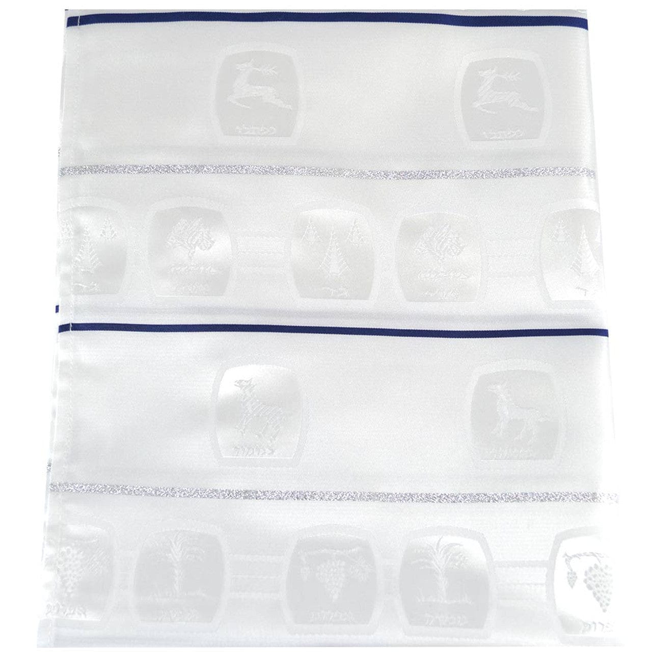 Zion Tallis Tallises Blue and Silver Stripe Shvotim Tallis
