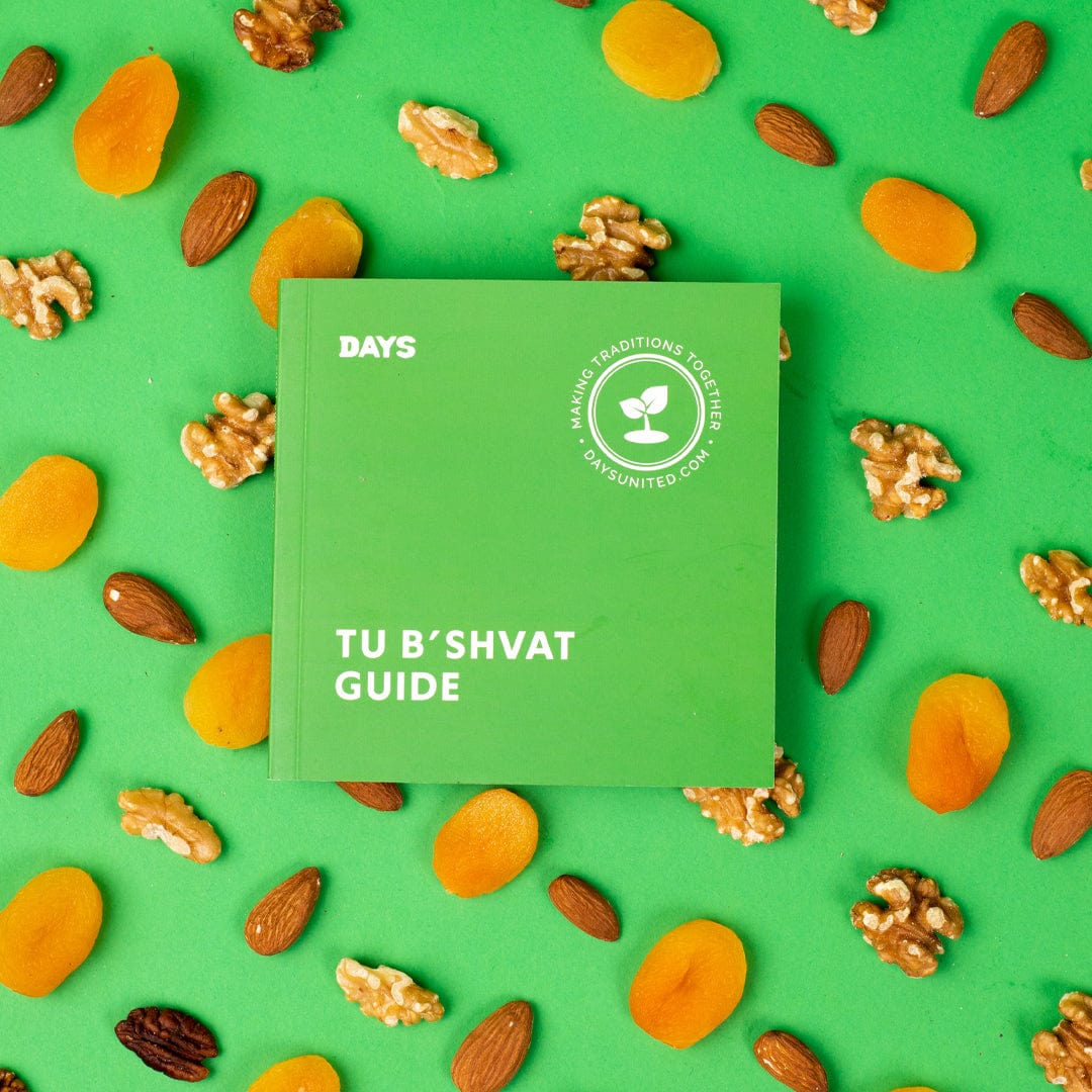 Days United - Tu B'Shvat in a Box - ModernTribe