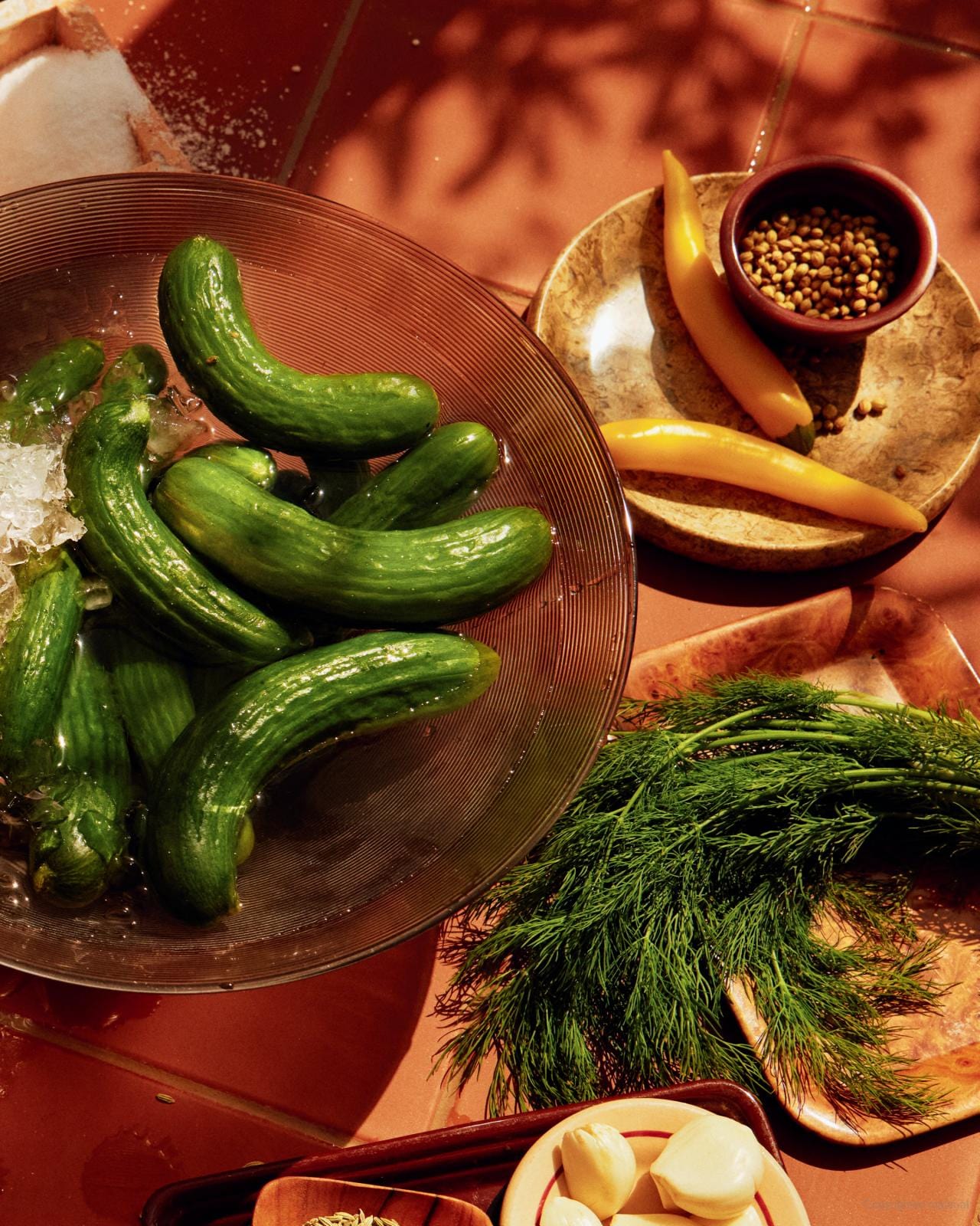 Random House - Tahini Baby: Bright, Everyday Recipes That Happen to Be Vegetarian - Hardcover - ModernTribe