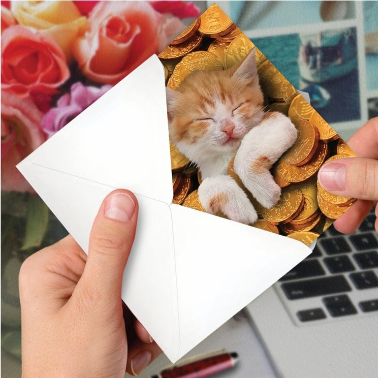 NobleWorks - Sleepy Cat in Gelt Cards, Pack of 12 - ModernTribe