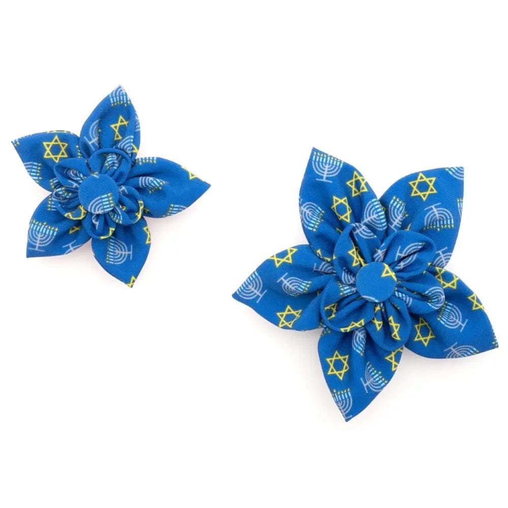 The Worthy Dog - Hanukkah Pet Flower Collar Attachment - ModernTribe