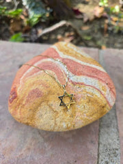 Alef Bet Necklaces Solid 14k Gold Star of David Necklace