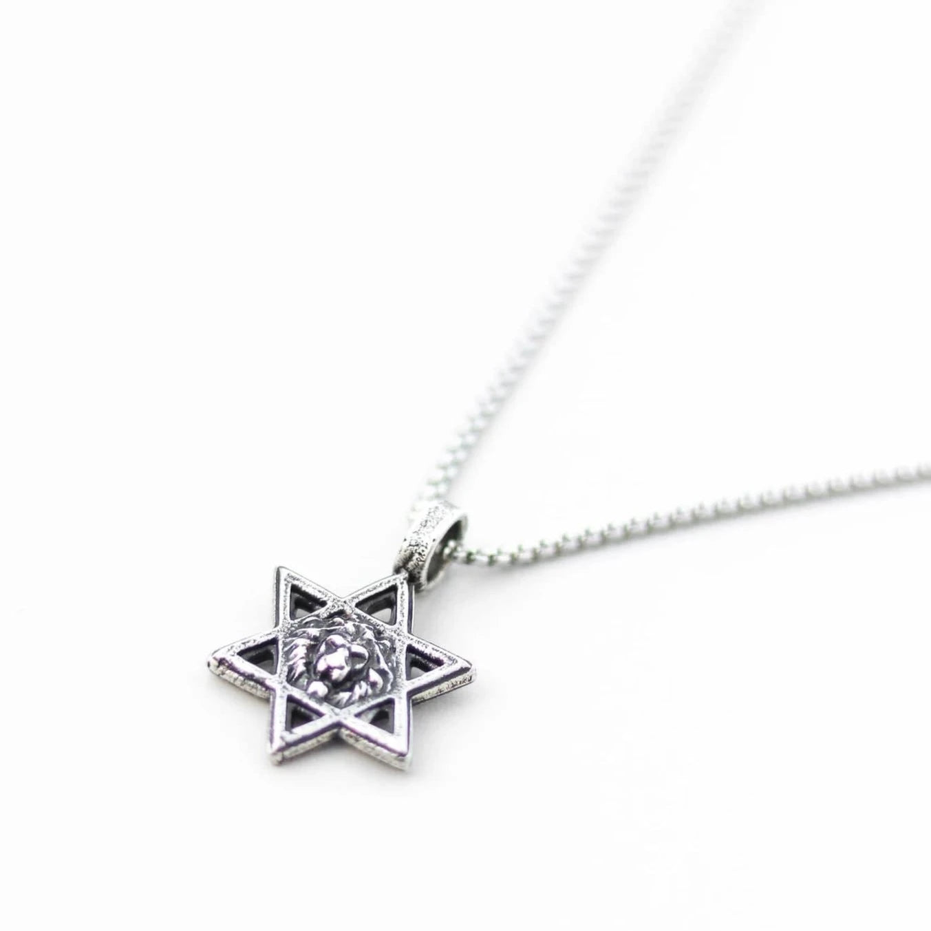 Shani and Adi Jewelry Necklaces Silver Lion Magen David Necklace