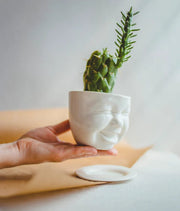 SIND Studio Decorations Laughing Cactus Ceramic Planter