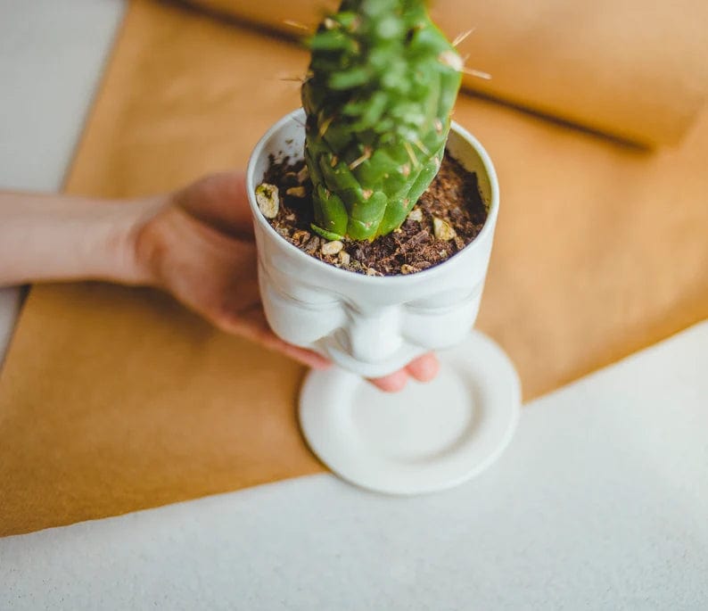 SIND Studio Decorations Laughing Cactus Ceramic Planter