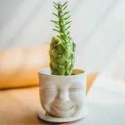 SIND Studio Decorations Laughing Cactus Ceramic Planter