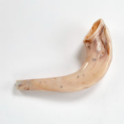 Rite Lite Shofars Realistic Toy Shofar