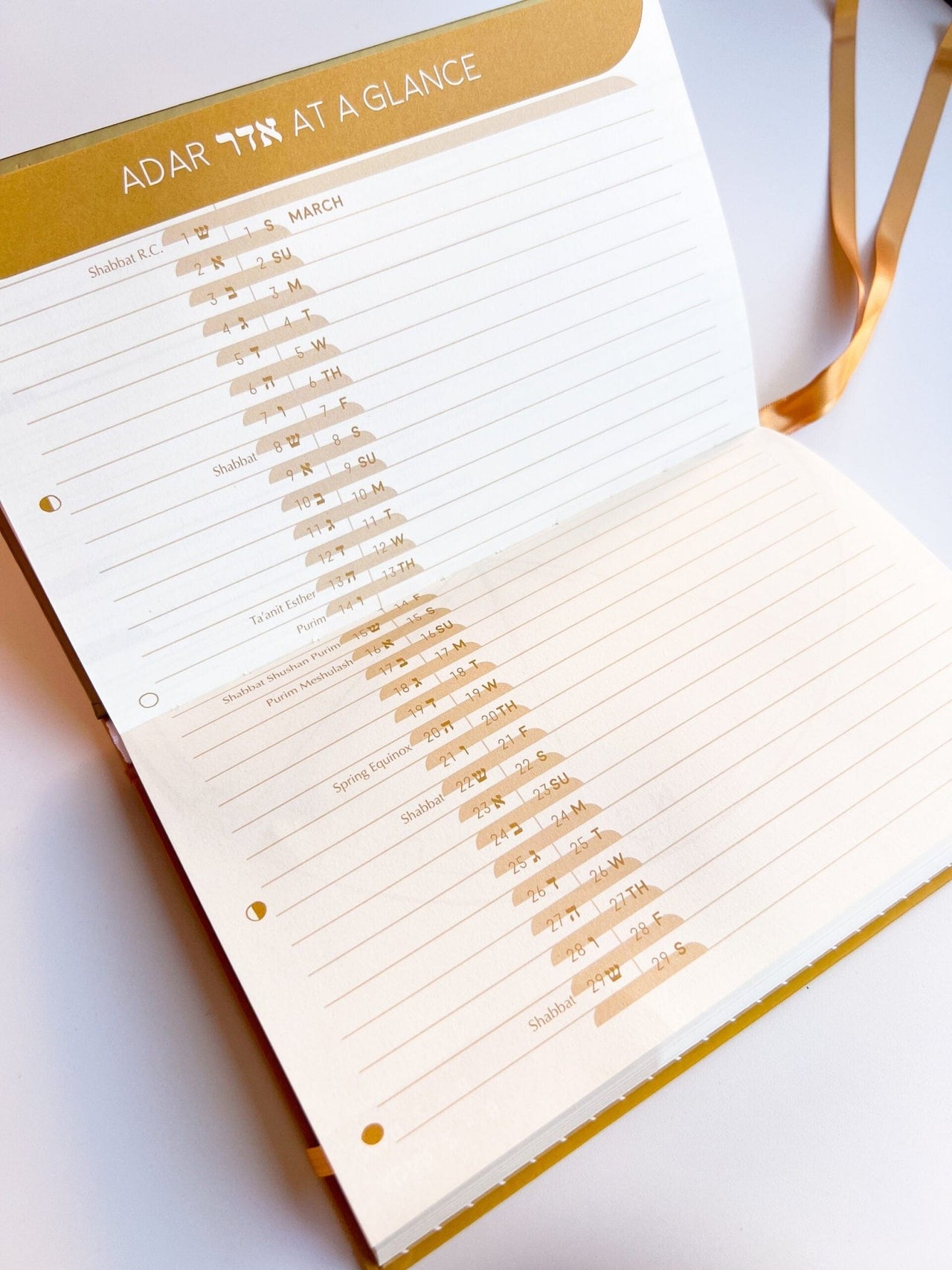 Gold Herring - The Jewish Planner 5785 (2024 - 2025) - ModernTribe