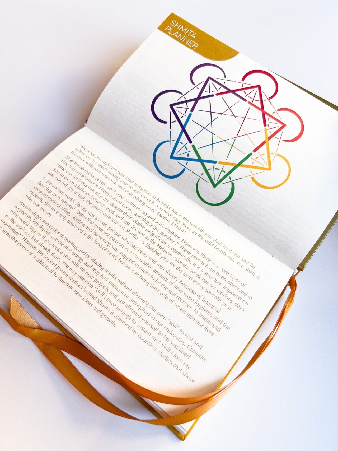 Gold Herring - The Jewish Planner 5785 (2024 - 2025) - ModernTribe